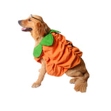 Halloween,Costume,Collar,Pumpkin,Design,Creative,Funny,Clothes,Decorations