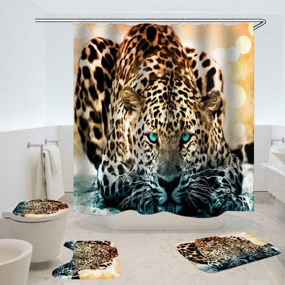 Animal,Bathroom,Carpet,Bathroom,Floor,Kitchen,Entrance,Doormats