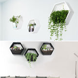 Hexagon,Hanging,Basket,Plant,Flower,Balcony,GardenDecorations