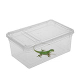 Transparent,Plastic,Insect,Reptile,Transport,Breeding,Feeding,Parts,Storage