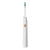 Loskii,Electric,Toothbrush,Rechargeable,Ultrasonic,Vibration,Toothbrush,Replacement,Heads