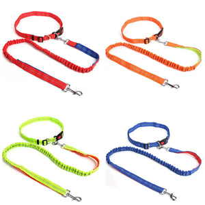 Leash,Traction,Running,Reflective,Elastic,Hands,Solid,Adjust,Collars,Outdoor,Supplies