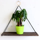 Hanging,Shelf,Storage,Holder,Plant,Wooden,Bedroom,Mounted,Organizer