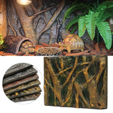 Reptile,Aquarium,Background,Backdrop,Board,Decorations