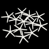 12Pcs,Beautiful,White,Finger,Starfish,Beach,Wedding,Coastal,Decorations