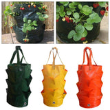 Gallon,Garden,Planting,Potato,Strawberry,Planter,Outdoor,Vegetable