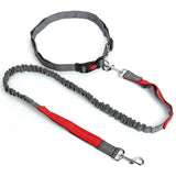 Leash,Traction,Running,Reflective,Elastic,Hands,Solid,Adjust,Collars,Outdoor,Supplies