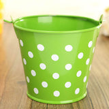 Polka,Sheet,Flower,Flower,Potted,Plant,Flowerpot,Garden,Decoration