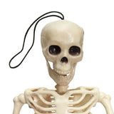 Creepy,Human,Skeleton,Skull,Figurine,Scary,Halloween,Skeleton,Party,Decorations