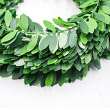 Garland,Green,Plant,Plastic,Foliage,Plastic,Decor