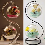 Hanging,Glass,Flower,Micro,Landscape,Terrarium,Support,Stand