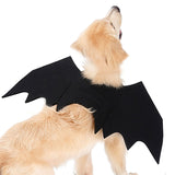 Halloween,Wings,Collar,Harness,Decor,Puppy,Black,Dress,Funny,Clothes