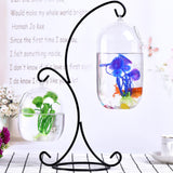 Clear,Glass,Hanging,Aquarium,Office,Desktop,Stand,Decorations