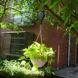 Retractable,Hanging,Flower,Lifting,Hanging,Hanging,Balcony,Hanging