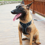 DODOPET,Luminous,Adjustable,Collar,Reflective,Walking,Chest,Strap,Safety,Training,Leash,Traction