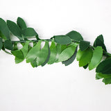 Garland,Green,Plant,Plastic,Foliage,Plastic,Decor