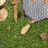 Courtyard,Fence,Fishing,Cover,Netting,Fruit,Protect