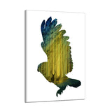 Miico,Painted,Paintings,Simple,Flying,Decoration,Painting