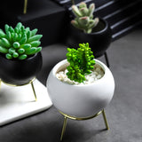 Succulent,Simple,Frame,Flower,Stand,Ceramic,Hydroponic,Flowerpot,Green,Plant