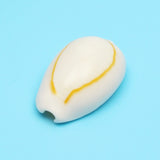 50pcs,Creamy,White,Natural,Shell,Loose,Beads,Accessories,Bracelets,Ornament,Decorations