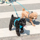 Jordan&Judy,Double,Leash,Pulling,Capacity,Modes,Reflective,Walking,Leash,Collar,Supplies