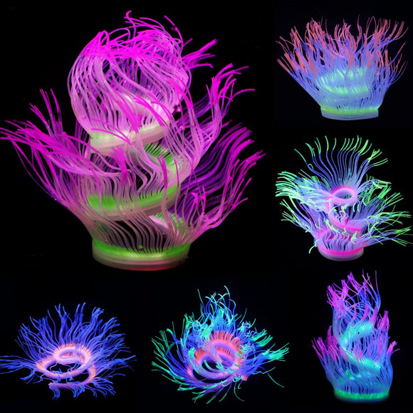 Aquarium,Waterplant,Decor,Glowing,Anemone,Coral,Plant,Ornament