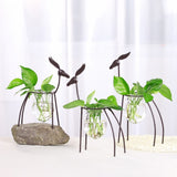 Hydroponic,Container,European,Ornaments,Transparent,Flower,Plant