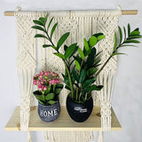 Woven,Macrame,Plant,Hanger,Hanging,Bohoes,Tassels,Hanging,Craft,Decorations