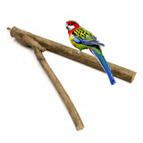 Parrot,Stand,Hamster,Branch,Perches