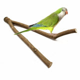 Parrot,Stand,Hamster,Branch,Perches