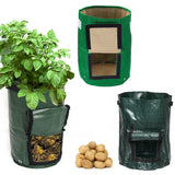 Potato,Planter,Container,Pouch,Planting,Window