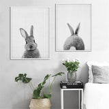 Rabbit,Canvas,Poster,Animal,Print,Paintings,Nursery