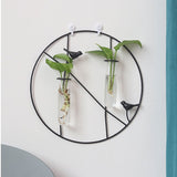 Simple,Metal,Frame,Hanging,Planter,Hydroponic,Hanging,Decorations,Plant,Container,Glass,Bottle