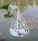 Hanging,Water,Shaped,Glass,Hydroponics,Flower,Garden,Wedding,Party,Decoration