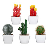 Simulating,Cactus,Bonsai,Simulating,Creative,Ornaments,Succulents,Plants