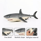 Model,Megalodon,Great,White,Shark,Simulation,Animal,Figure,Decorations,Ornament,Static,Animal,Models