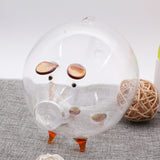 Clear,Glass,Piggy,Money,Collectible,Saving