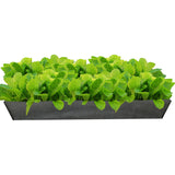 Rectangle,Breathable,Fabric,Plant,Flower,Planter,Vegetable,Planting,Container,Garden,Supply