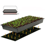 Garden,Seedling,Heating,Germination,Propagation,Clone,Reptile,Starter