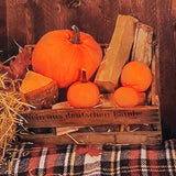 Thanksgiving,Backdrop,Photography,Video,Background,Pumpkins,Studio