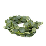 Artificial,Eucalyptus,Garland,Vines,Leave,Green,Wedding,Decor,Supplies"