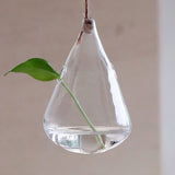 Hanging,Water,Shaped,Glass,Hydroponics,Flower,Garden,Wedding,Party,Decoration