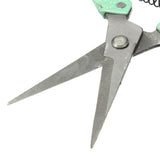 Straight,Blade,Pruner,Gardening,Pruning,Shrub,Plant,Horticulture,Trimmer,Shear,Scissor