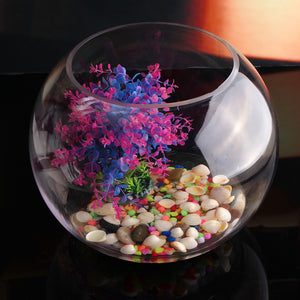 Round,Clear,Glass,Flower,Planter,Terrarium,Decor