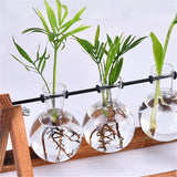 Creative,Hydroponics,Planter,Flower,Wooden,Stand,Glass,Terrarium,Container,Tabletop,Office,Wedding,Decor