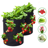 Gallons,Strawberry,Planting,Pockets,Planting,Pouch,Fabric,Strawberry,Tomato,Carrot,Vegetables,Container,Handles