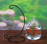 Aquarium,Glass,Hanging,Flower,Plant,Table,Height,Betta,Products