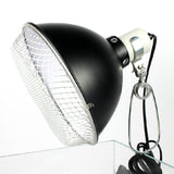 Reptile,Light,Lampshade,Cover,Holder