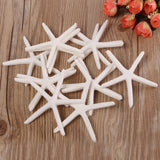 12Pcs,Beautiful,White,Finger,Starfish,Beach,Wedding,Coastal,Decorations