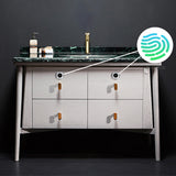 Smart,Fingerprint,Drawer,Furniture,Cabinet,Letter